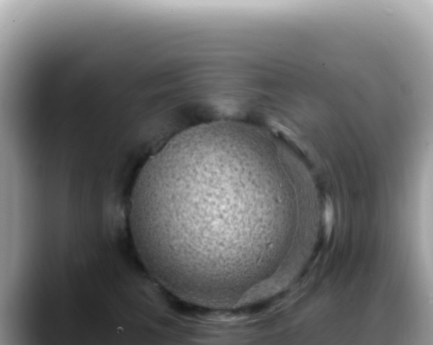 X0000088730613200706071641