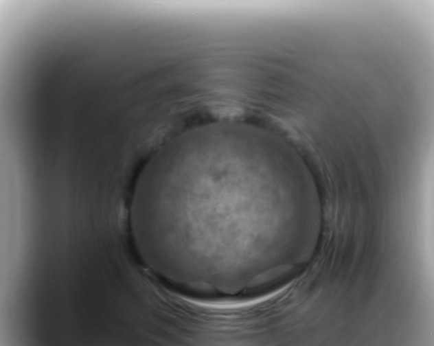 X0000088730614200706071641