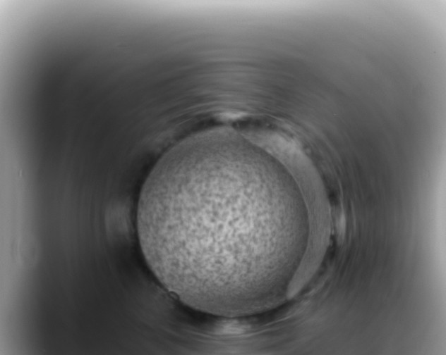 X0000088730616200706071641
