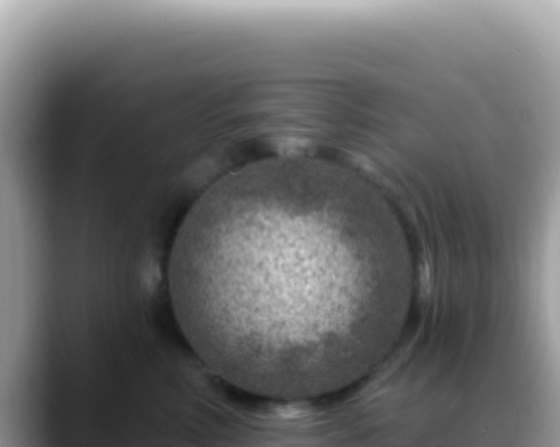 X0000088730618200706071641