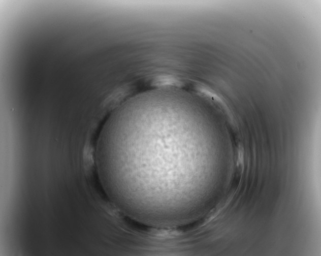 X0000088730621200706071641