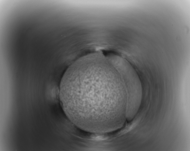 X0000088730624200706071641