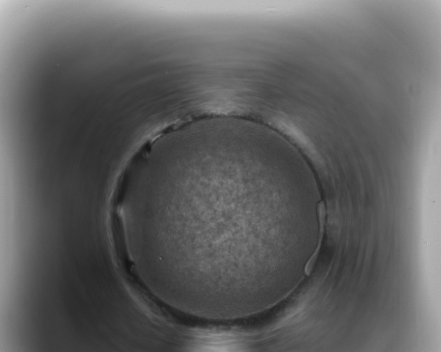 X0000088730626200706071640