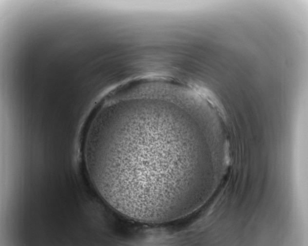 X0000088730628200706071640