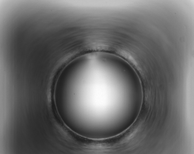 X0000088730629200706071640
