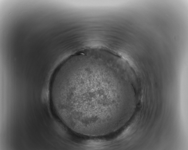 X0000088730630200706071640