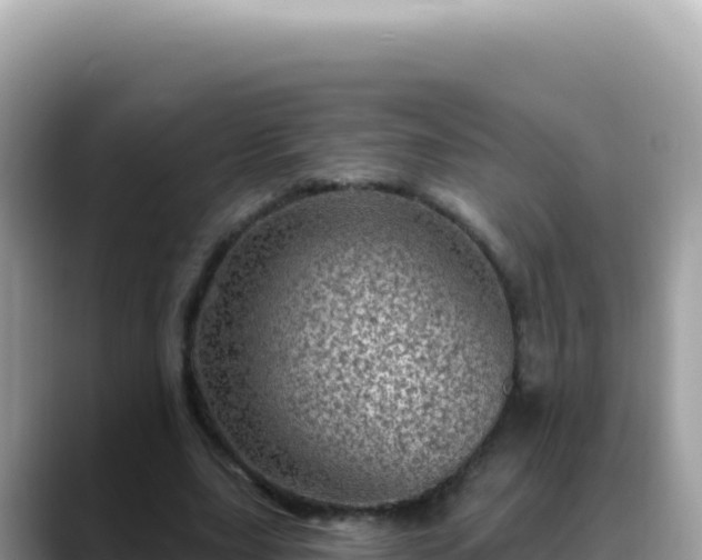 X0000088730631200706071640
