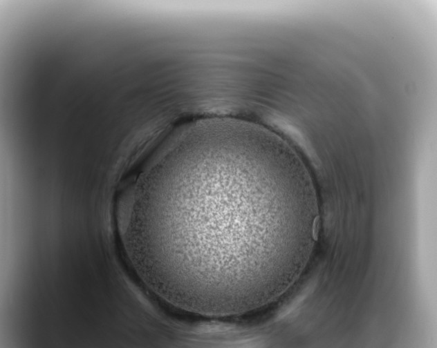 X0000088730633200706071640