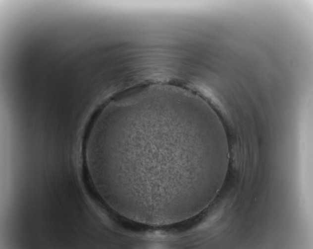X0000088730634200706071640