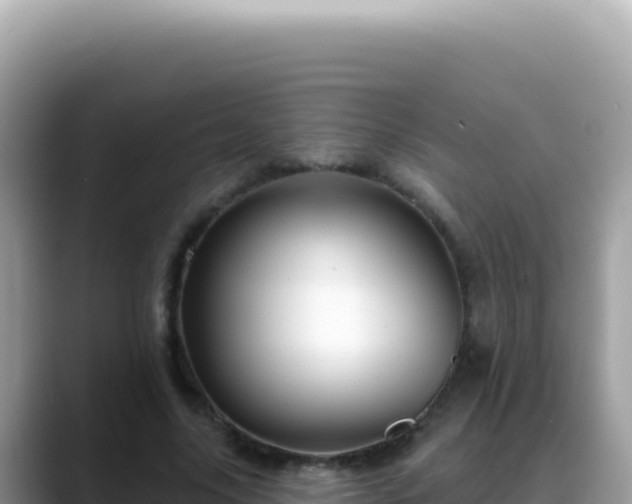 X0000088730635200706071640