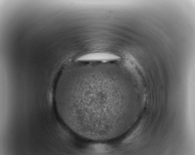 X0000088730637200706071640