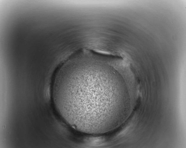 X0000088730638200706071640