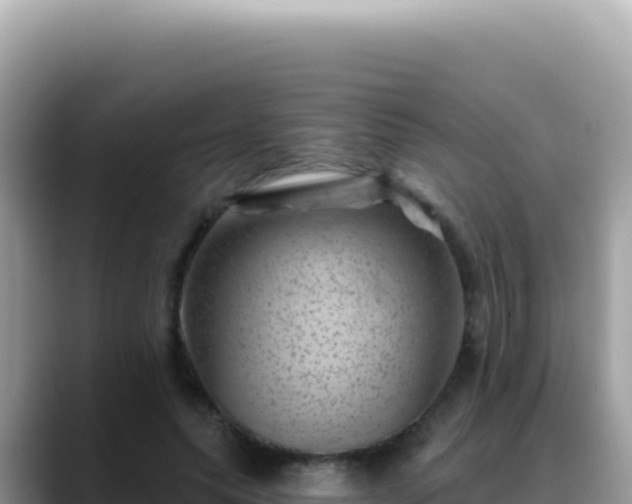 X0000088730639200706071640