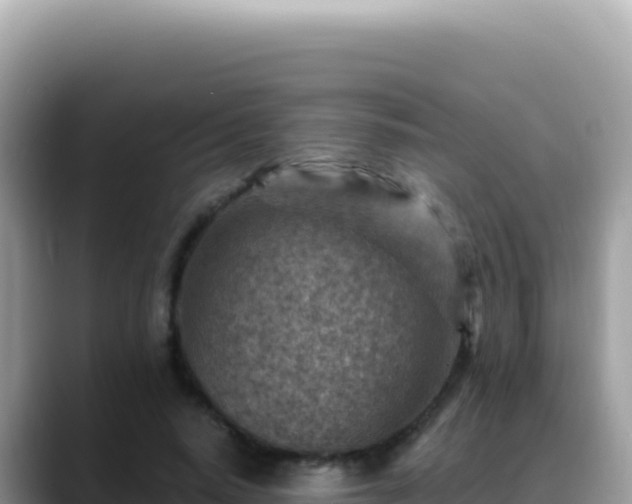 X0000088730640200706071640