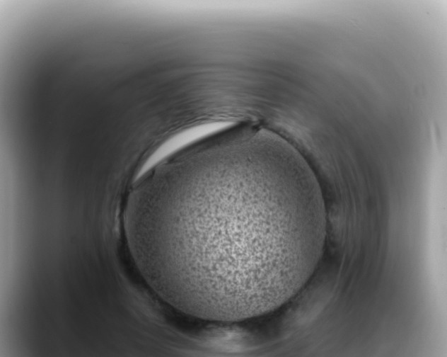 X0000088730642200706071640