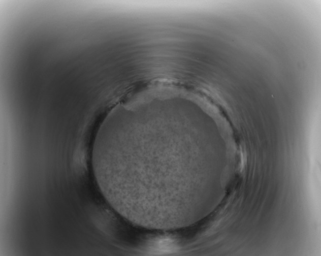 X0000088730643200706071640