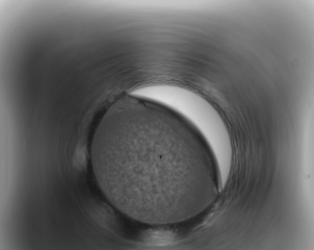 X0000088730644200706071640