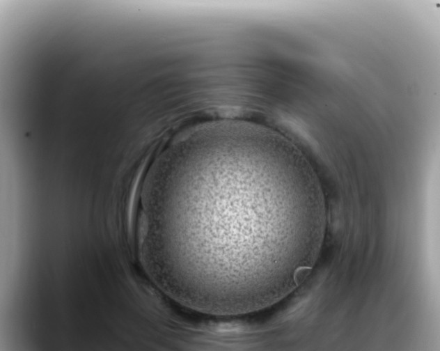 X0000088730645200706071641