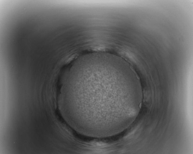 X0000088730648200706071641