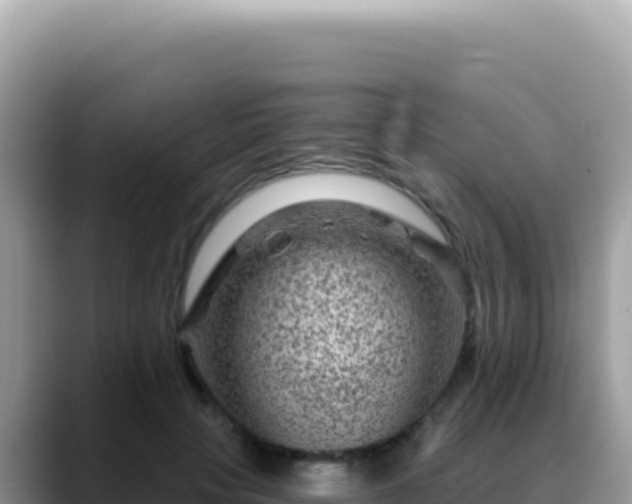 X0000088730649200706071641