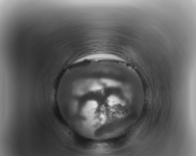 X0000088730650200706071641