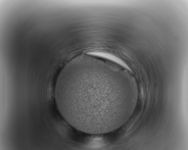 X0000088730651200706071641