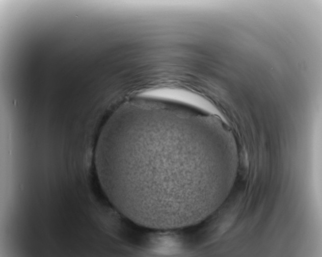 X0000088730652200706071641