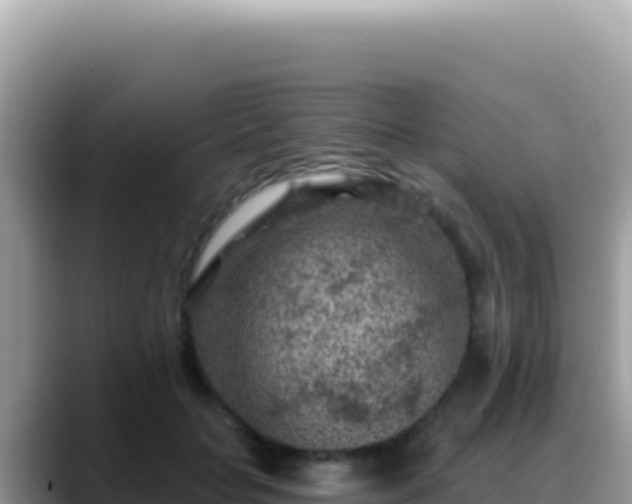 X0000088730653200706071641