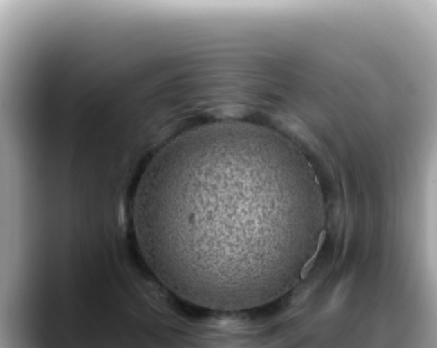 X0000088730655200706071641