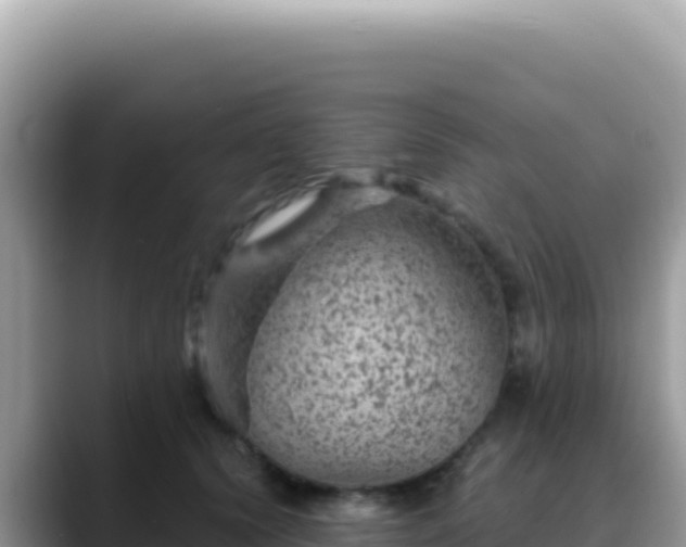 X0000088730656200706071641
