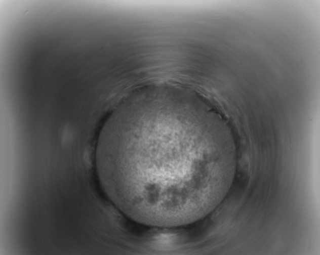 X0000088730658200706071641