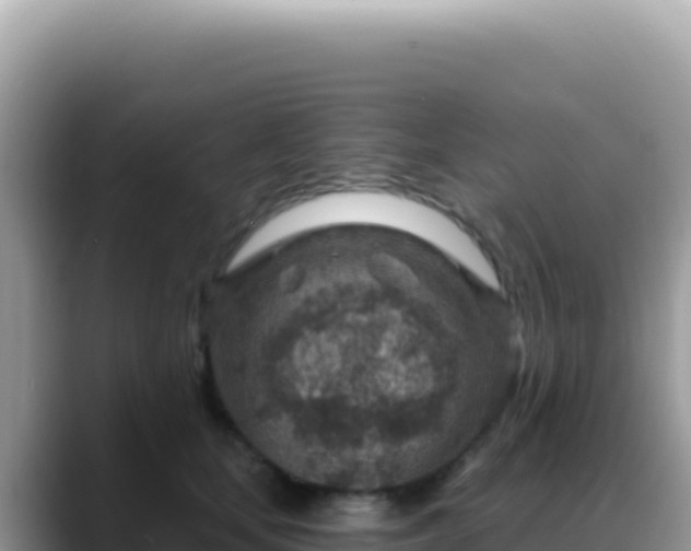 X0000088730659200706071641