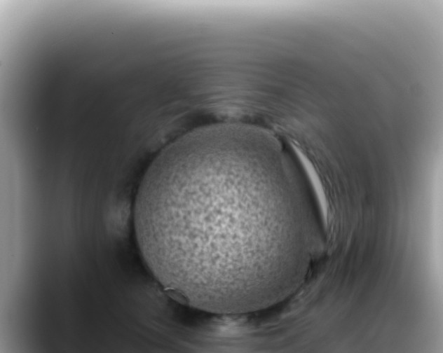X0000088730660200706071641