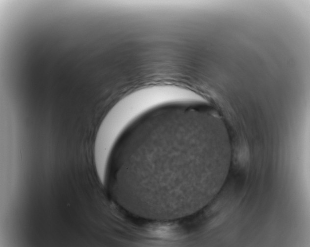 X0000088730661200706071641