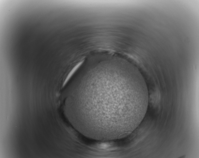 X0000088730662200706071641
