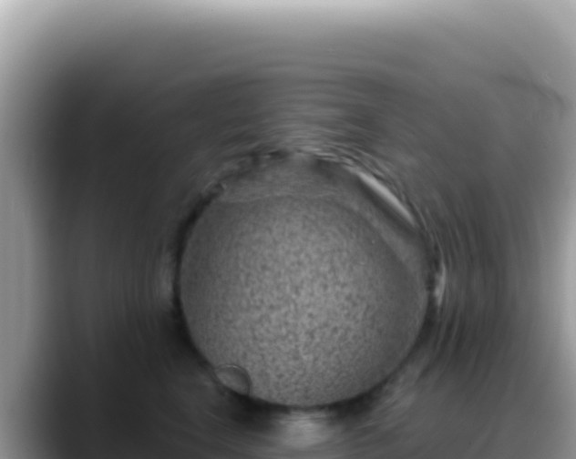 X0000088730664200706071641