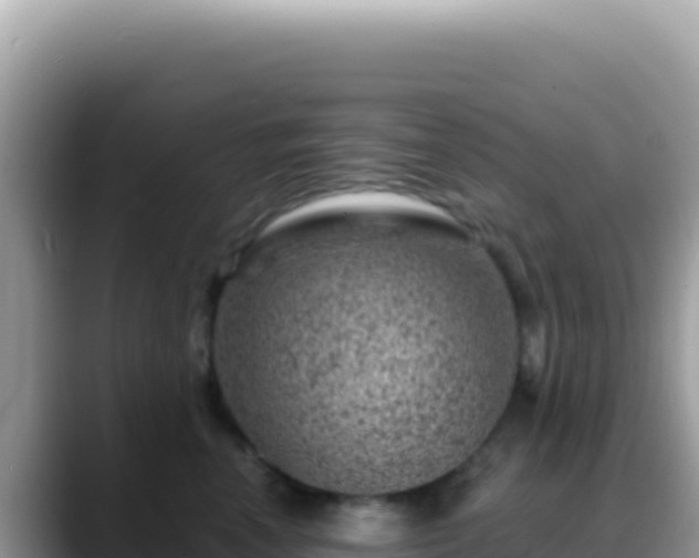 X0000088730666200706071641