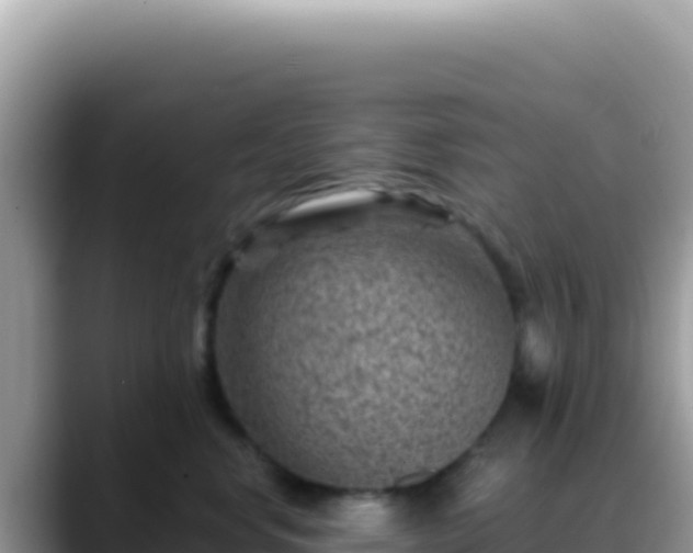 X0000088730668200706071641