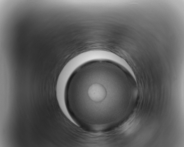 X0000088730669200706071641