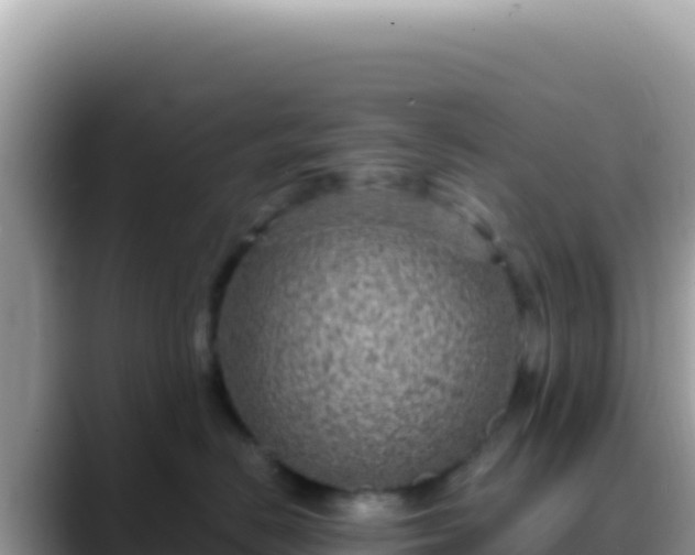 X0000088730670200706071641
