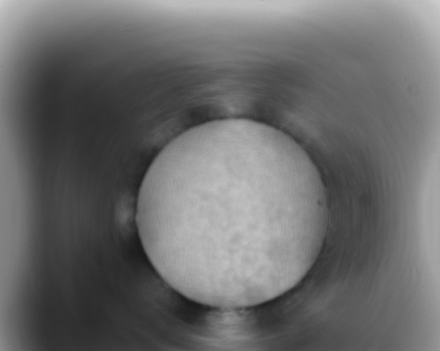 X0000088730672200706071641