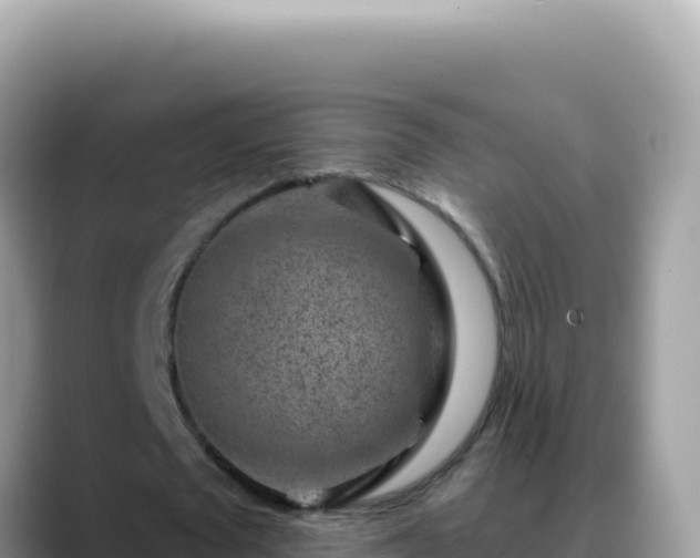 X0000088730673200706071640