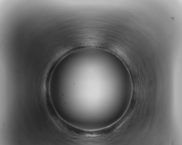 X0000088730674200706071640