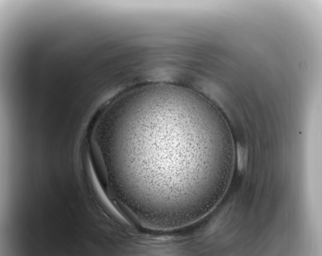 X0000088730675200706071640