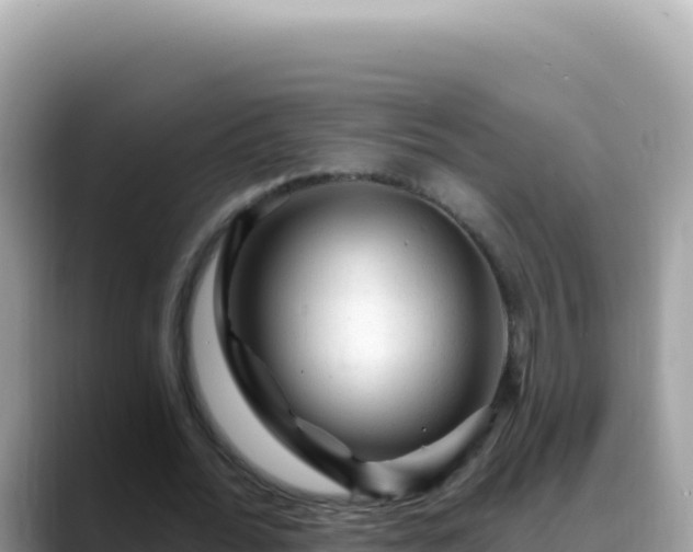 X0000088730676200706071640