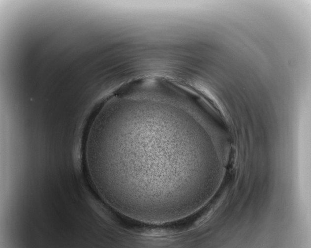 X0000088730677200706071640
