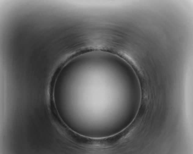 X0000088730678200706071640