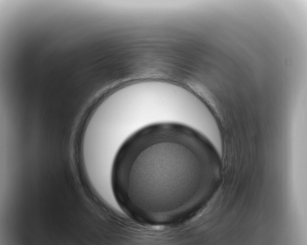 X0000088730680200706071640