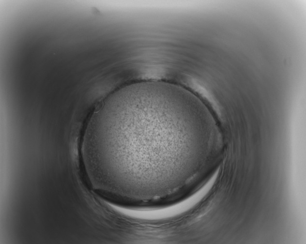 X0000088730681200706071640