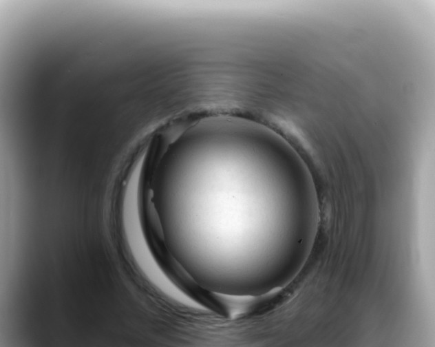 X0000088730684200706071640